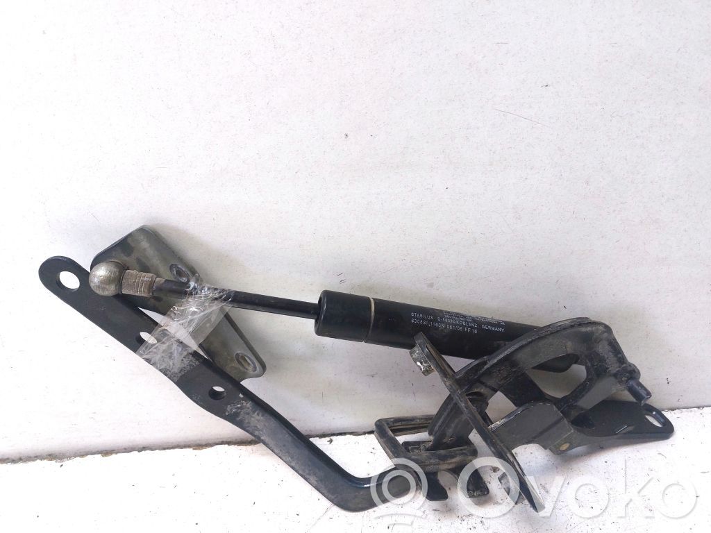 Tailgate/trunk/boot hinge   30674494
