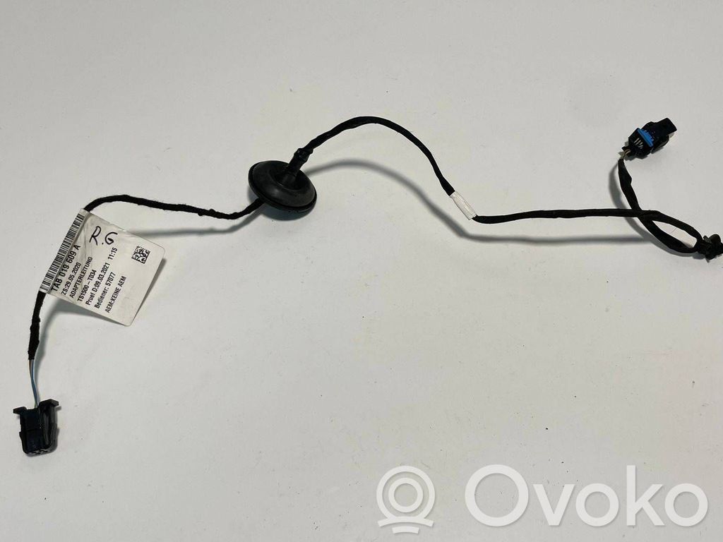 Skoda Enyaq iV Rear door wiring loom 