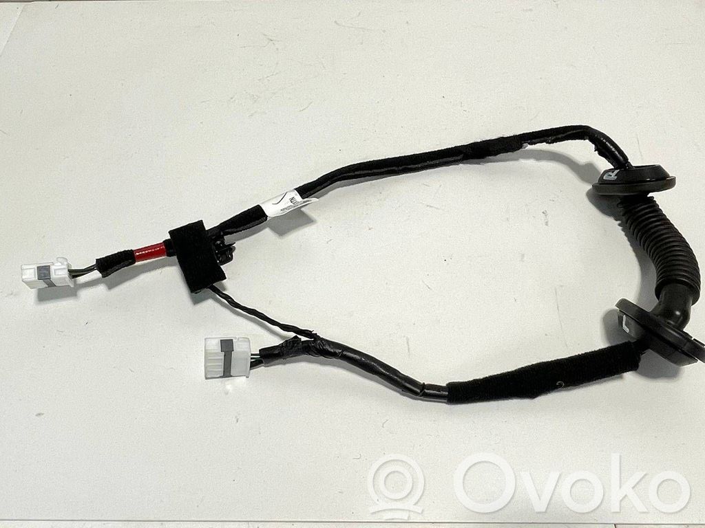 KIA EV6 Arnés de cableado de la puerta trasera/maletero 