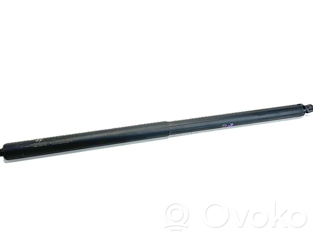 Hyundai Ioniq 5 Tailgate/trunk strut/damper 