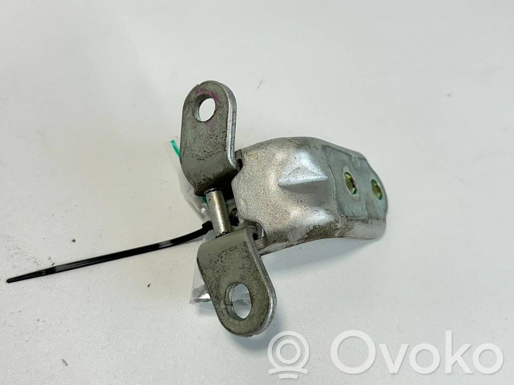 Hyundai Ioniq 5 Rear door lower hinge 