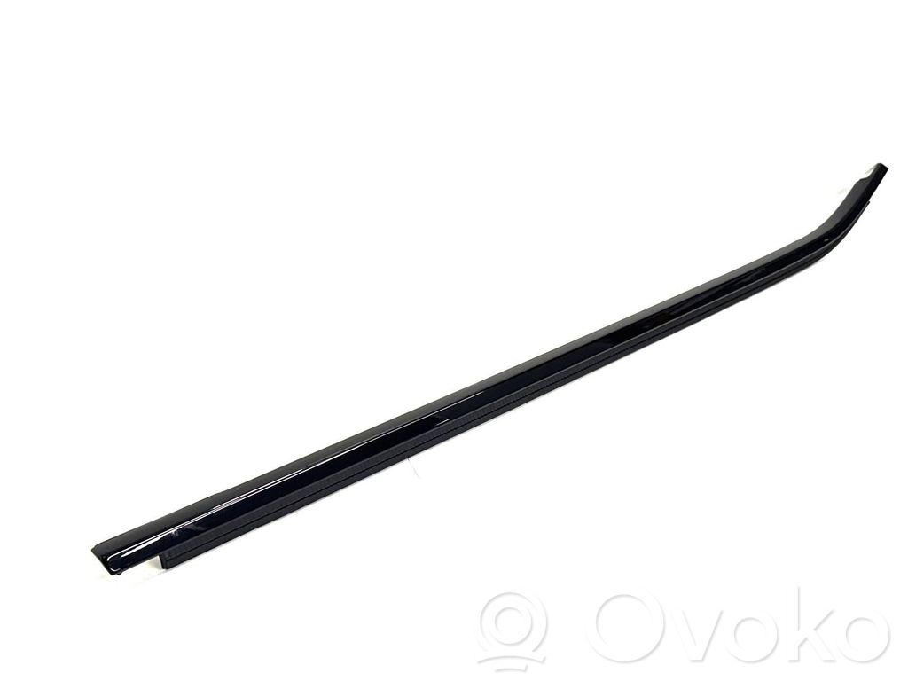 BMW X3 G01 Door glass trim 