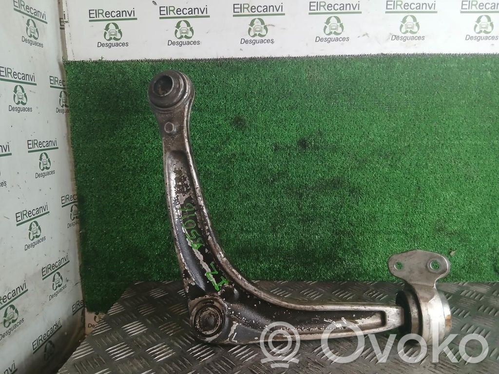 Front lower control arm/wishbone