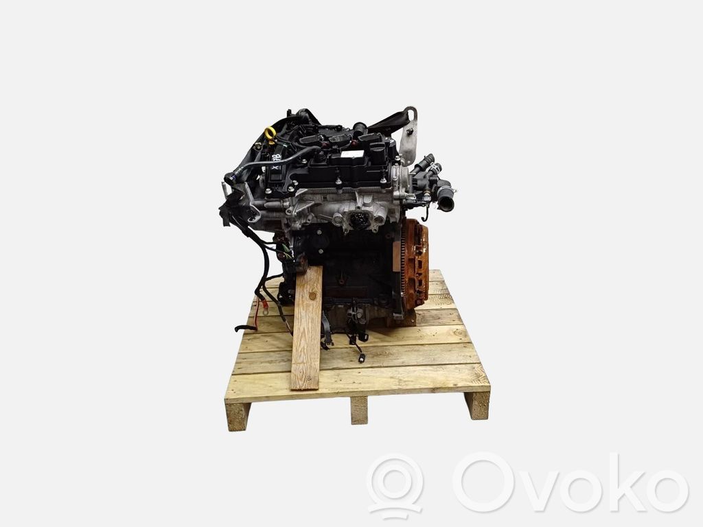 Ford Fiesta Variklis 
