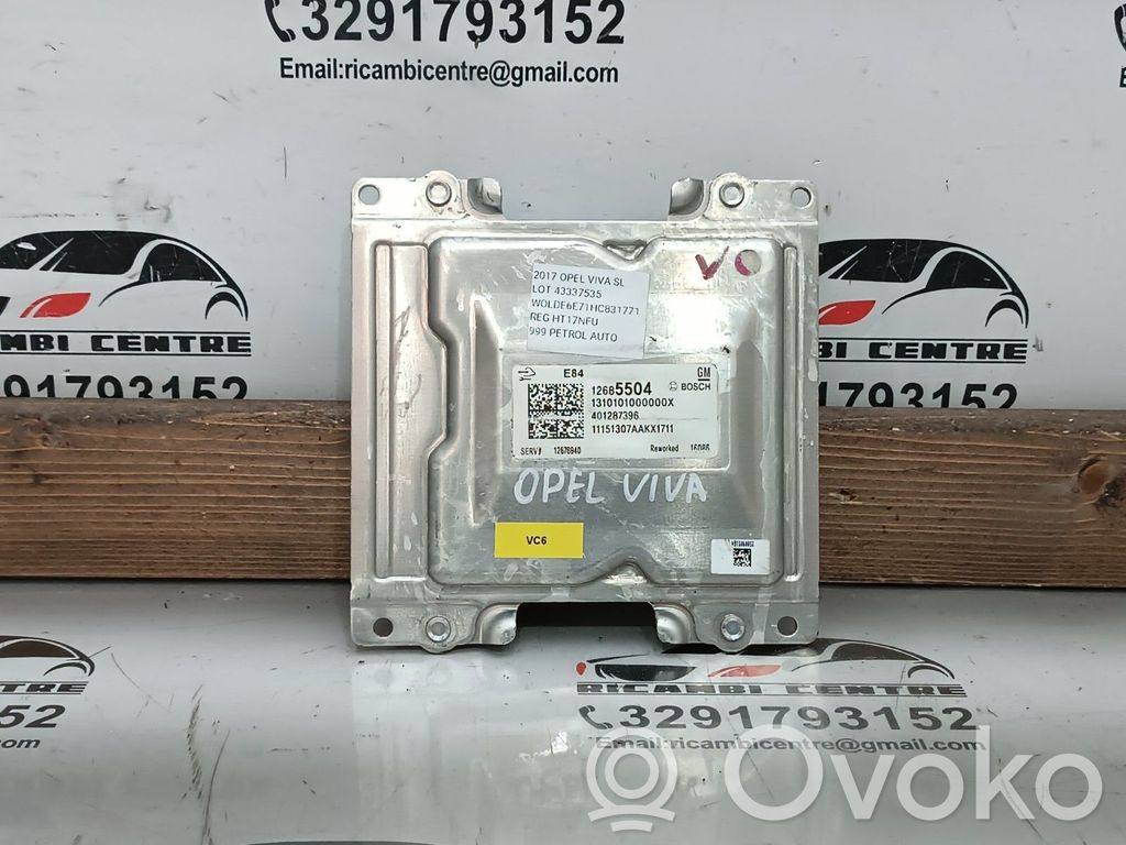 Engine control unit/module ECU   12676940,12685504,12686366,1310101000000X,401287396