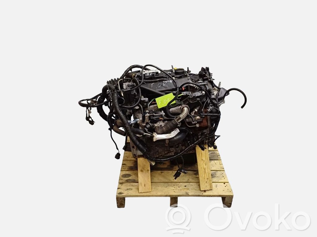Dzinējs   T1DB,116CV,1733055,AV6Q6006BA,T1DB