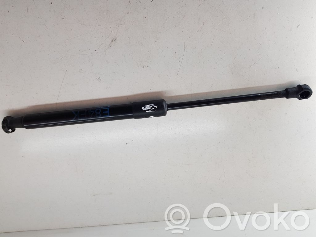 BMW X1 E84 Dzinēja pārsega amortizators 