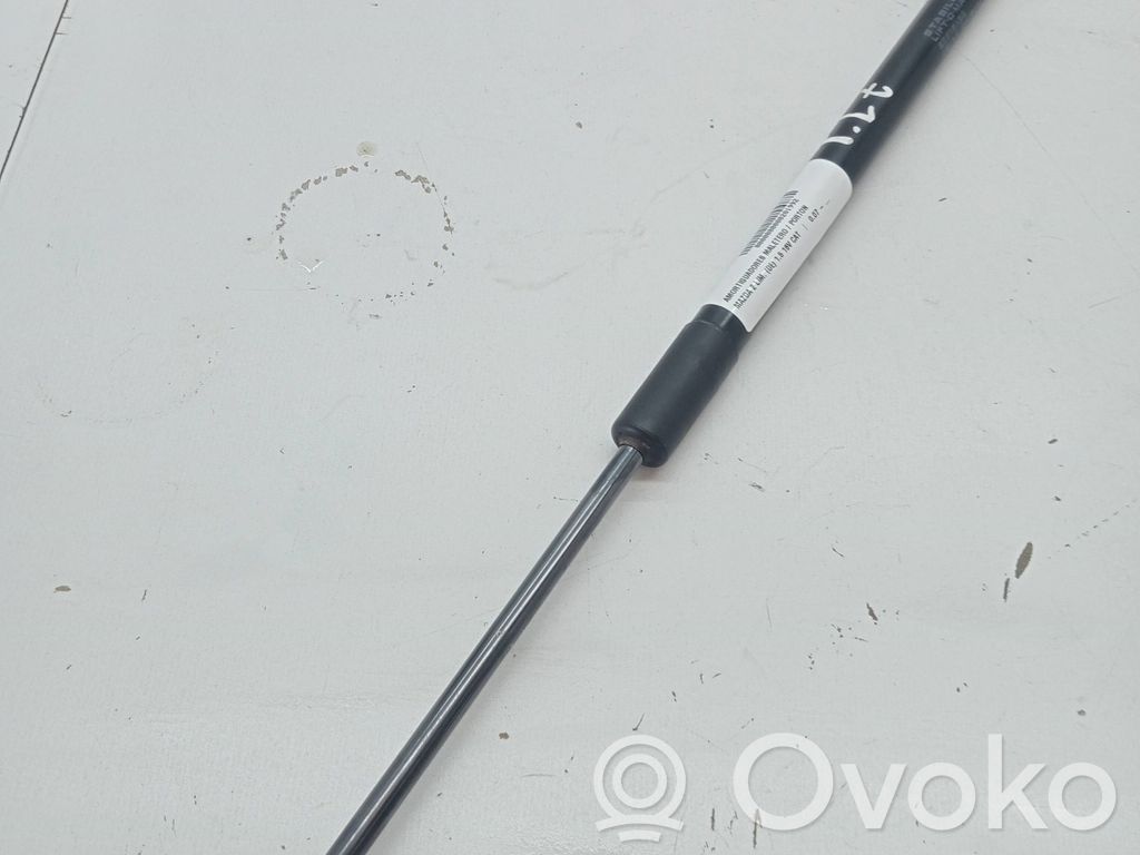 Amortiguador del maletero/compartimento de carga   D65162620A