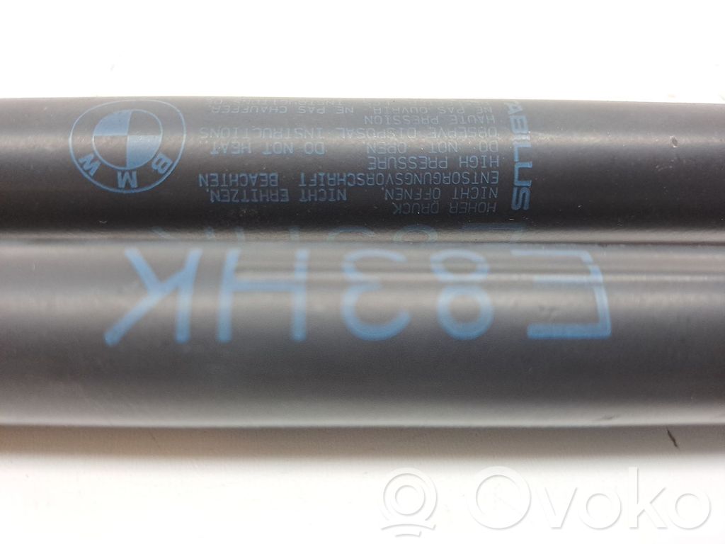 BMW X3 E83 Tailgate/trunk/boot lid buffer 