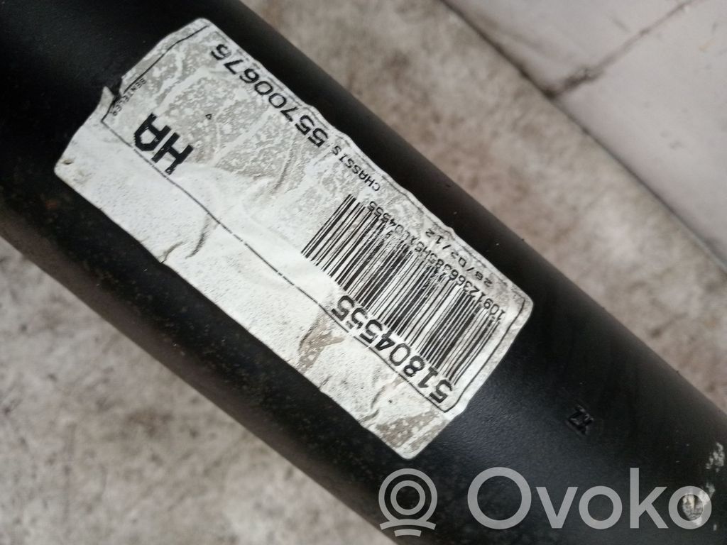 Bastidor trasero   55700676