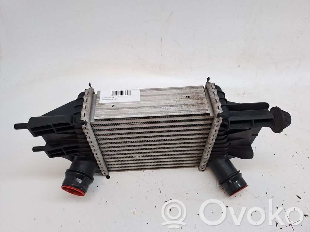 Radiador intercooler   144613VD0A