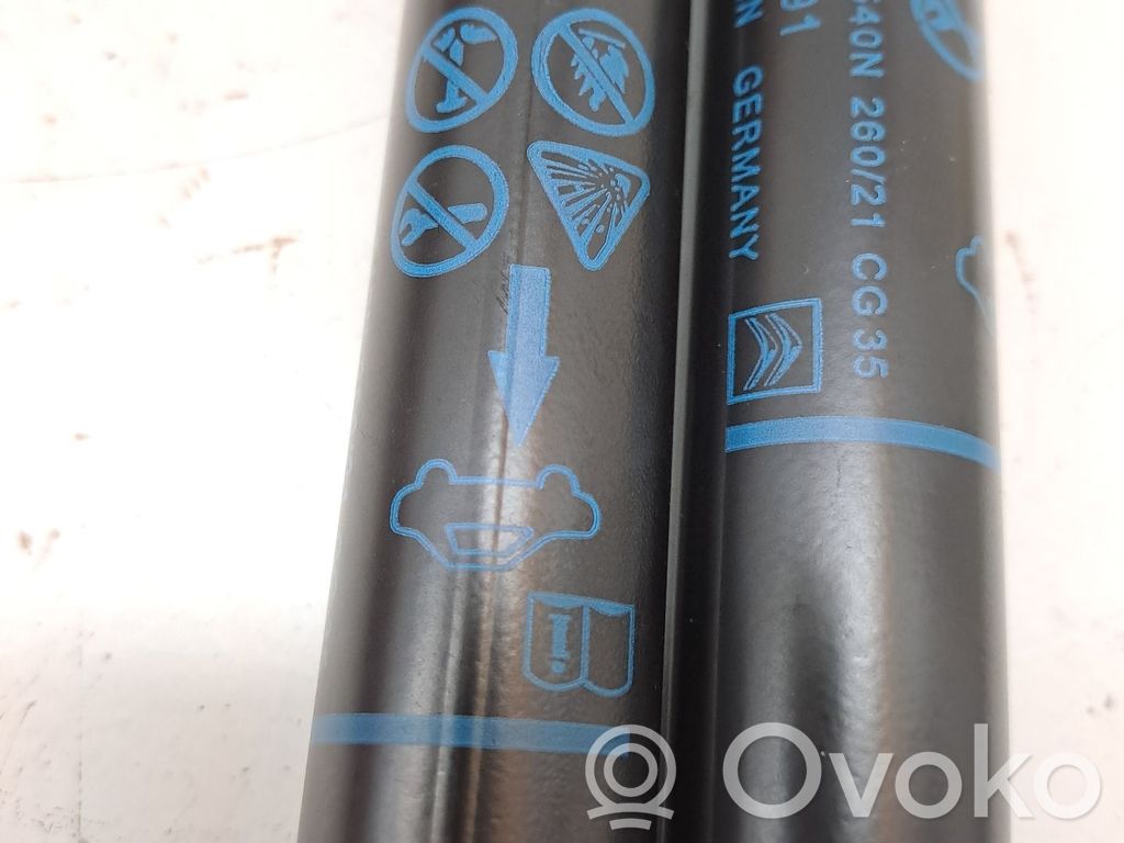 Tailgate/trunk/boot lid buffer   YQ00241380