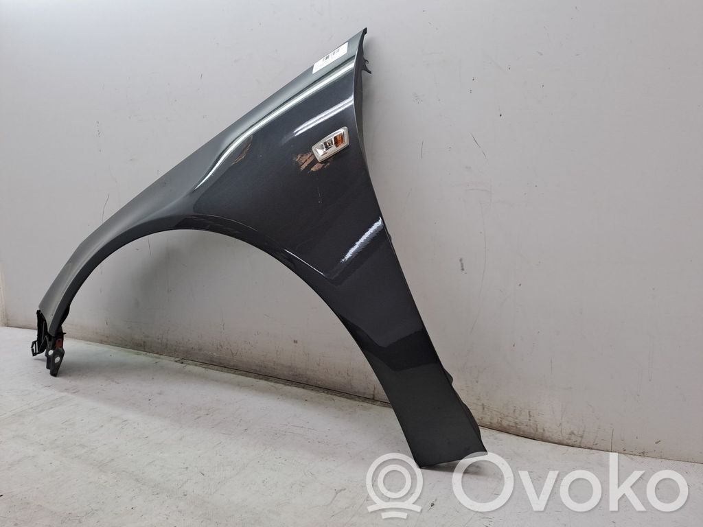 Opel Insignia A Radlauf vorne