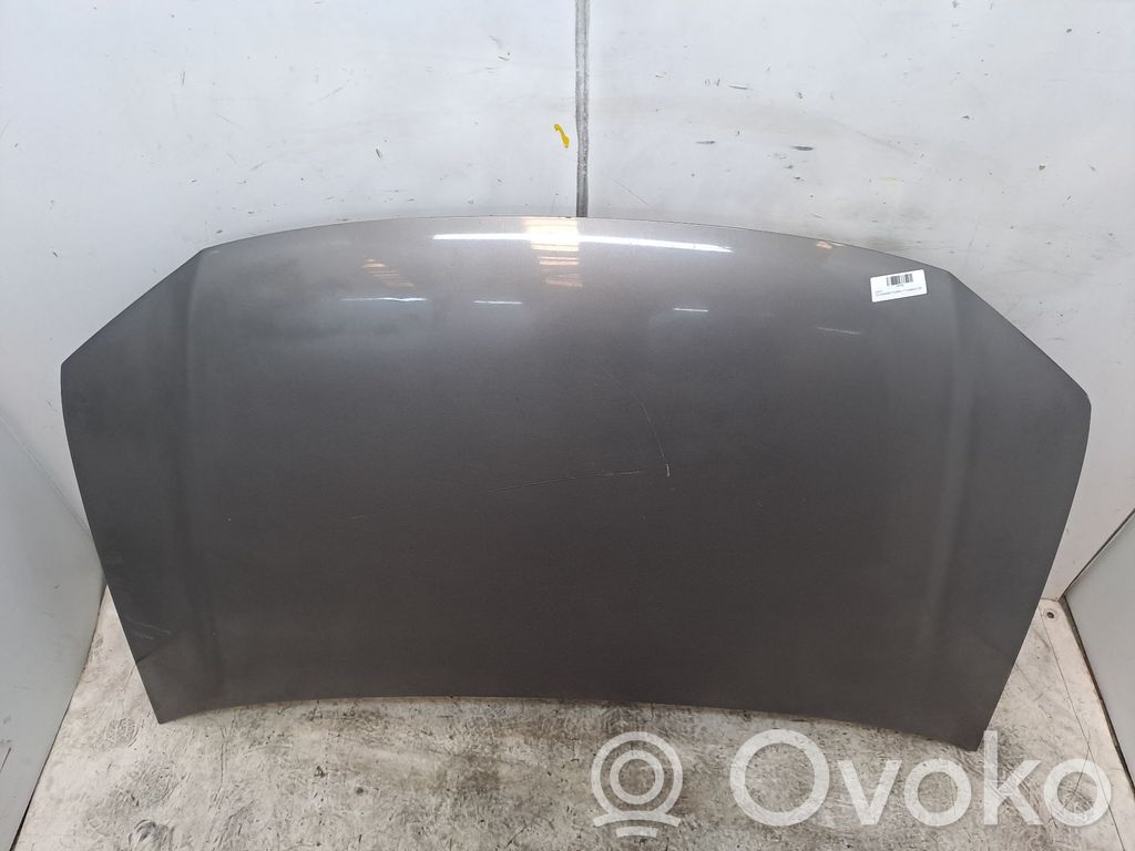 Motorhaube   1T0823031L