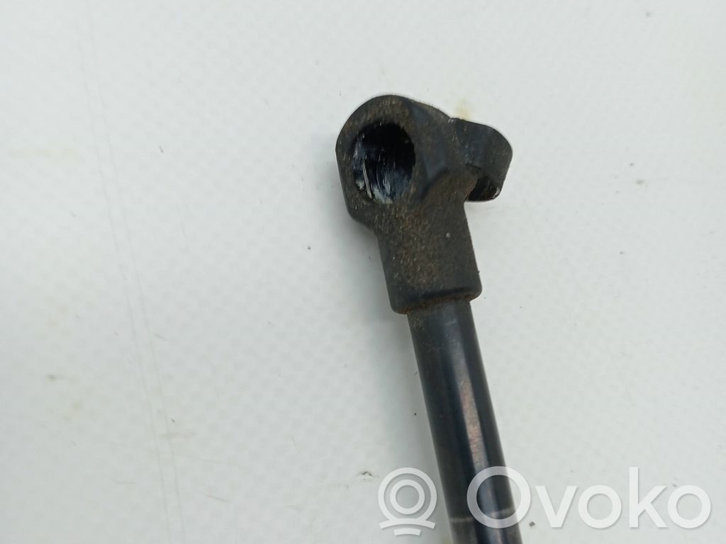 Fiat 500 Tailgate/trunk/boot lid buffer 