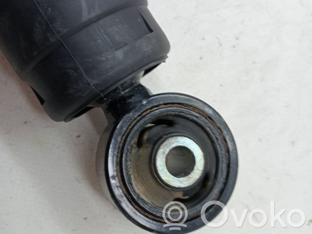 Fiat 500 Amortizor spate 