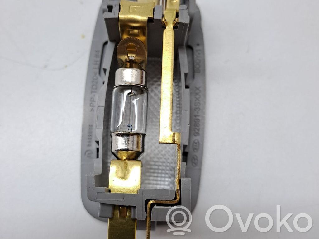Consola de luz del techo   928913S000