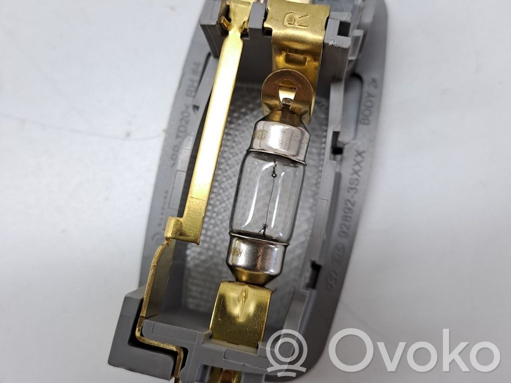 Consola de luz del techo   928923S000