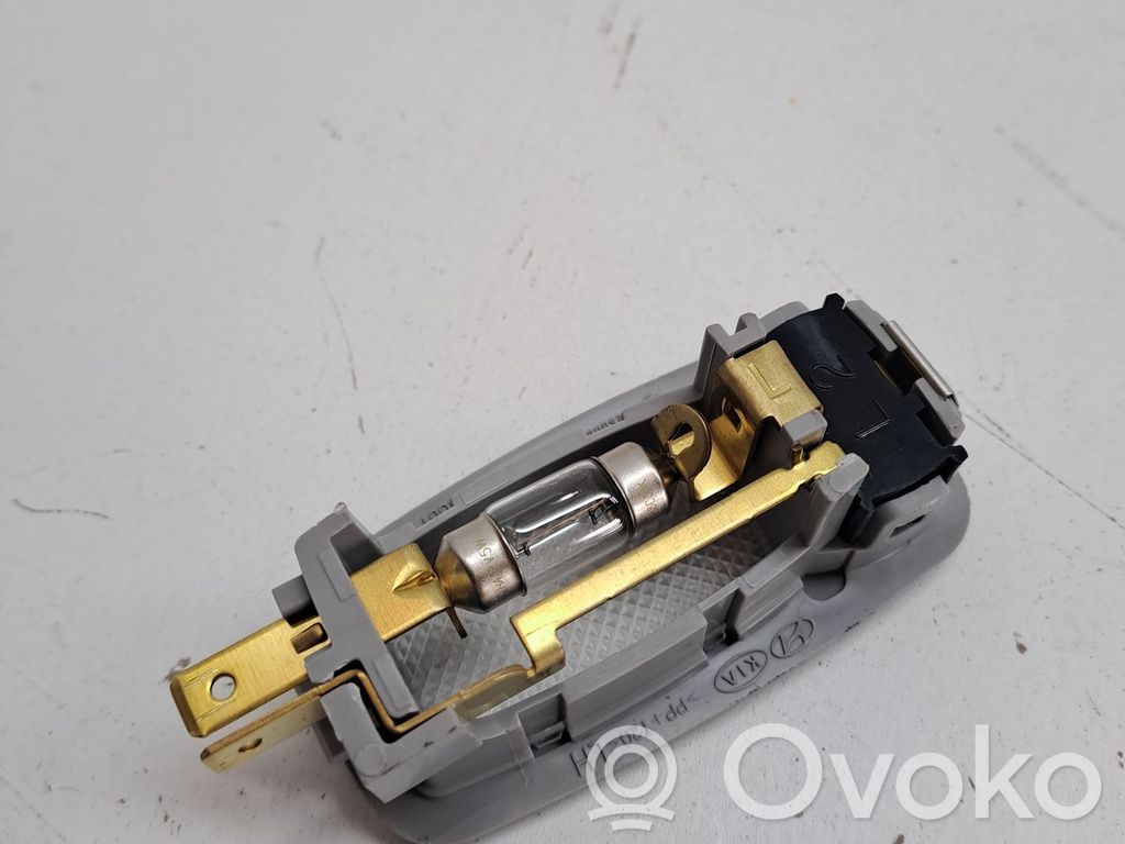 Consola de luz del techo   928913S000TTX