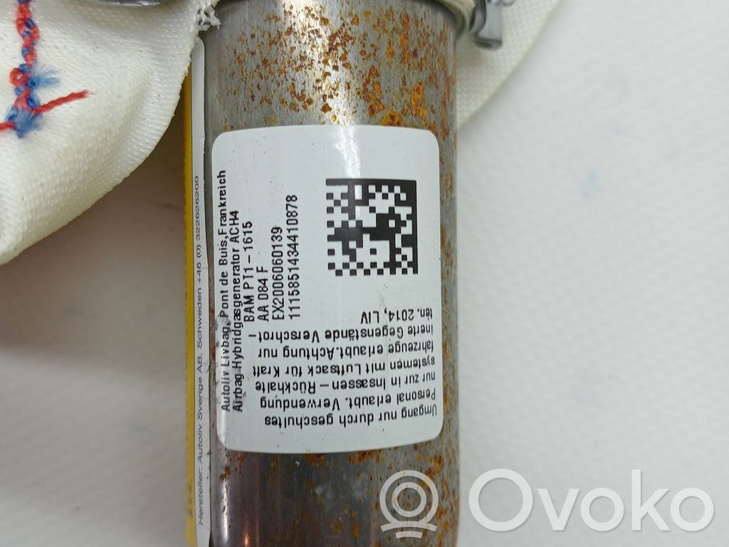 Kopfairbag   1866374,BM5114K159CA