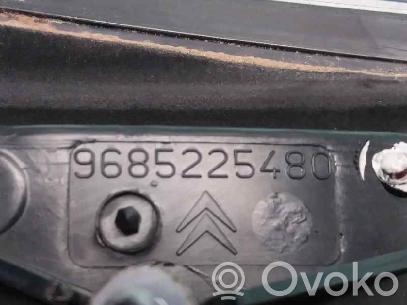 Lámpara de faros/luces traseros   9685225480