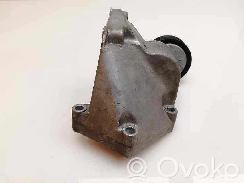 Napinacz paska alternatora   98MF3C631CG,1100693,1114044,1152890,98MF3C631CE,98MF3C631CF,98MF3C631CG