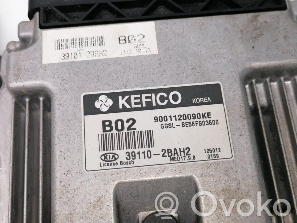 Engine control unit/module ECU   391102BAH2