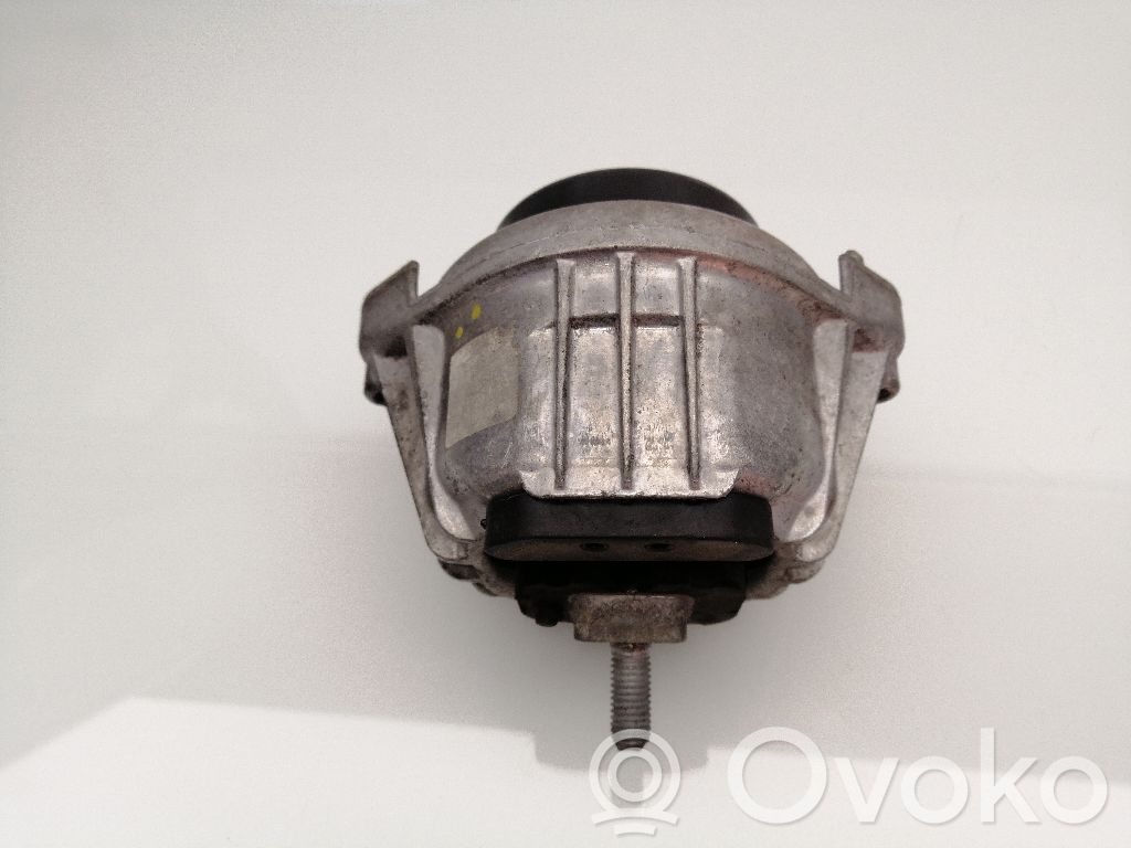 Dzinēja spilvens   13981112