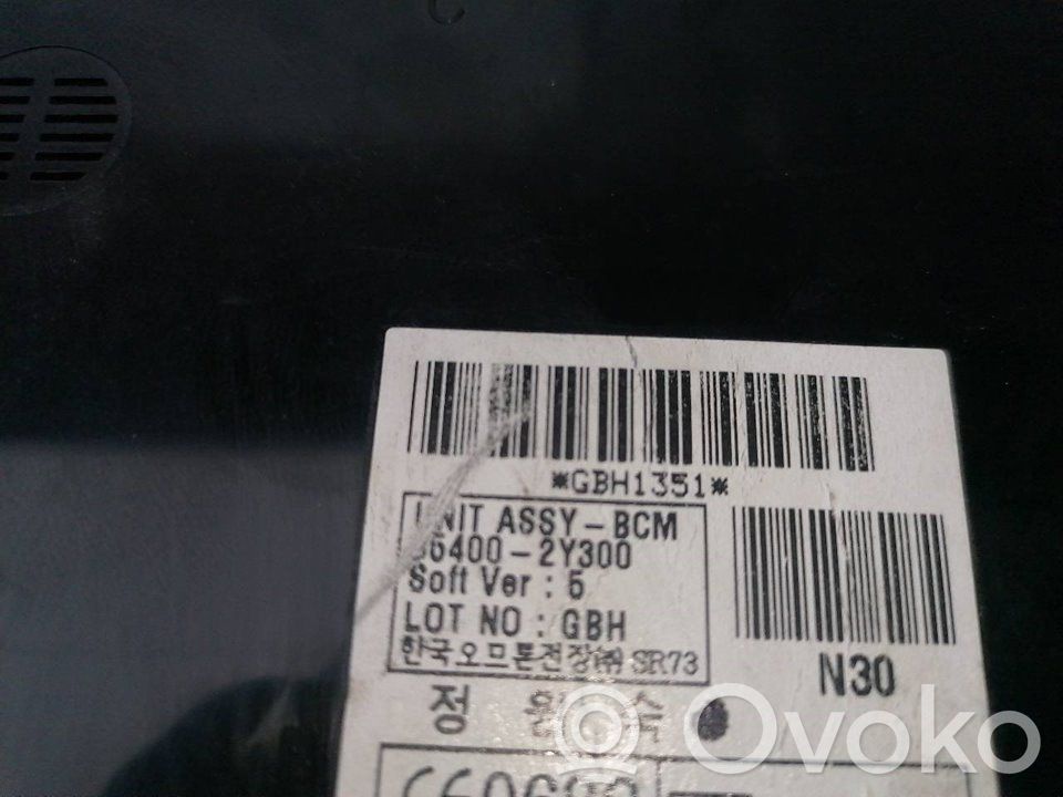Antena de radio   954002Y300