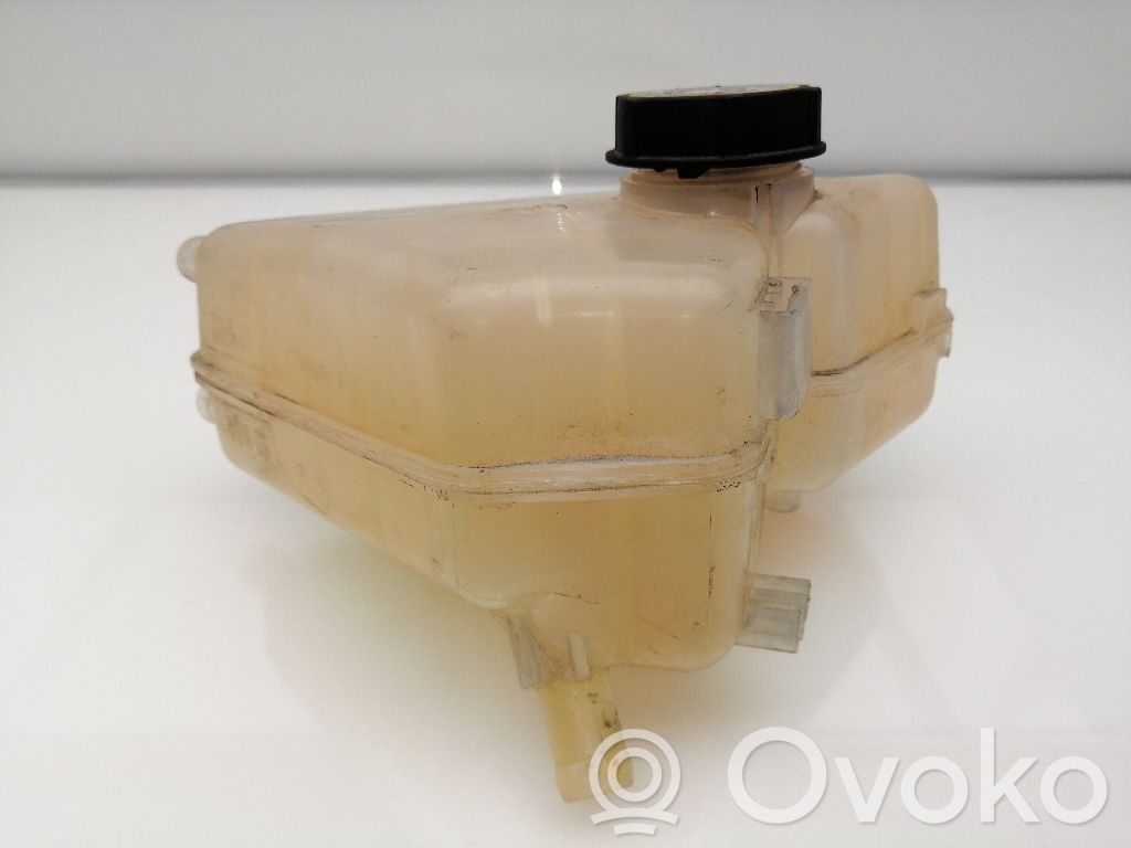 Ford Fiesta Serbatoio di compensazione del liquido refrigerante/vaschetta
