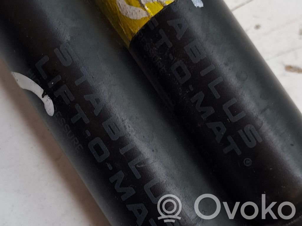 Tesla Model S Tampon hayon/capotă portbagaj 