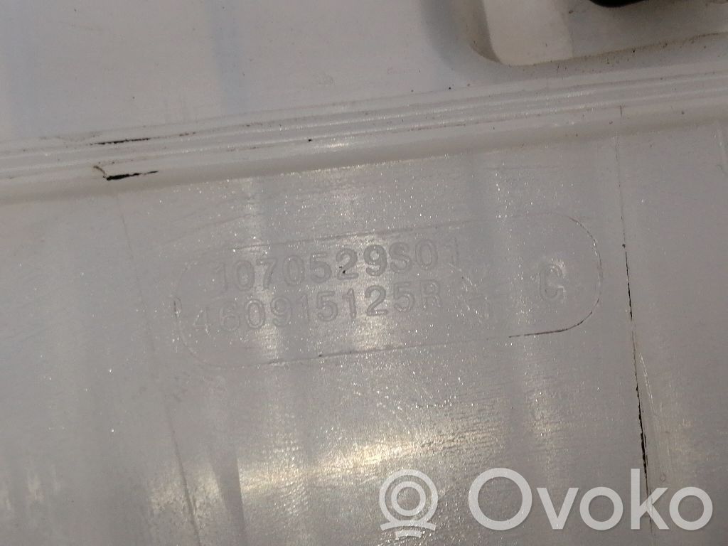Servo-frein   1070529S01,460915125R