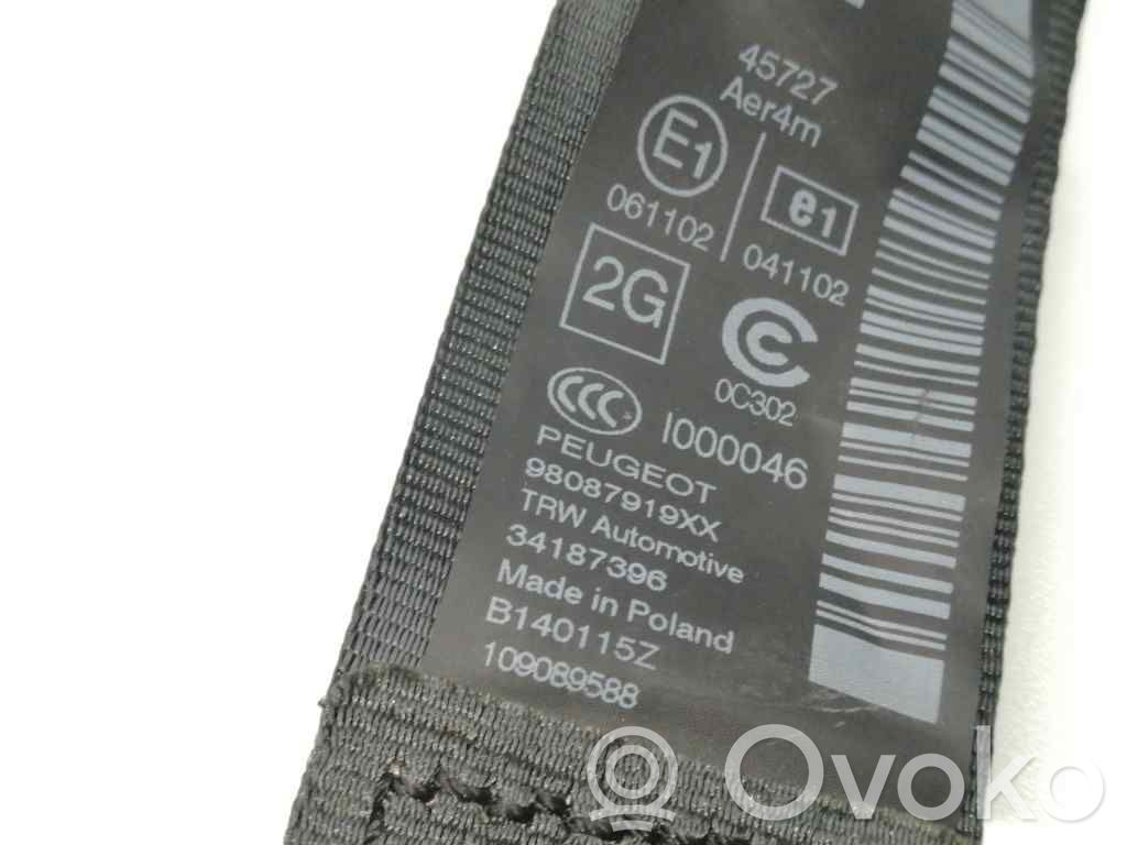 Cinturón trasero   98087919XX,34187396
