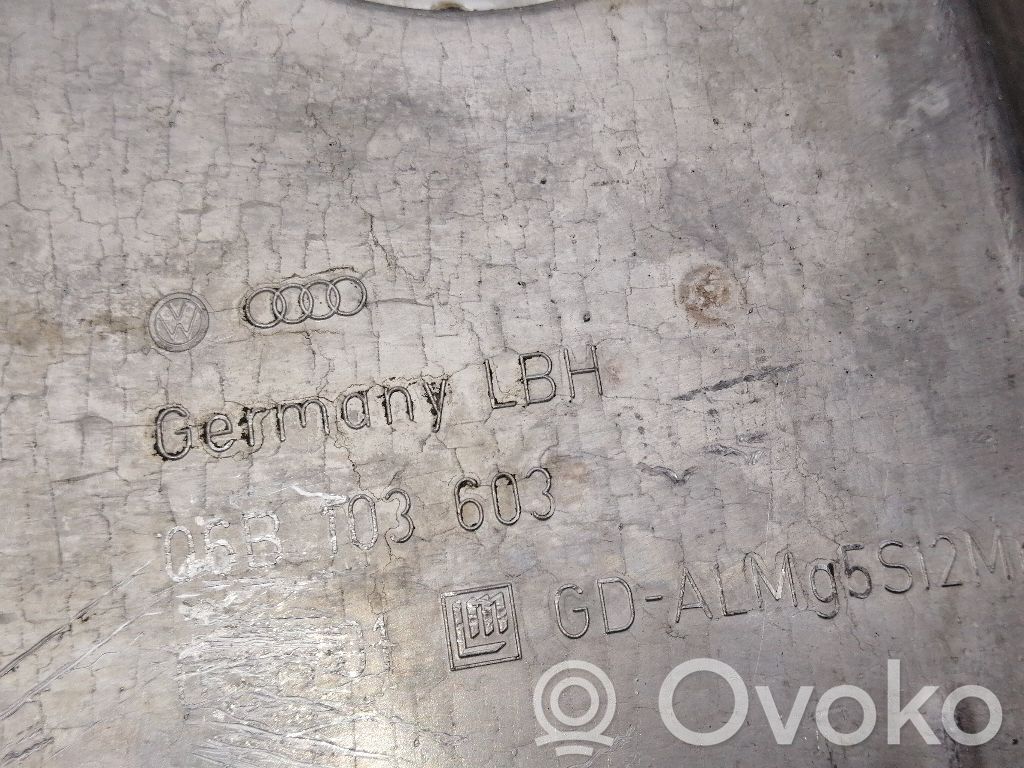 Audi A4 S4 B6 8E 8H Baie ulei 