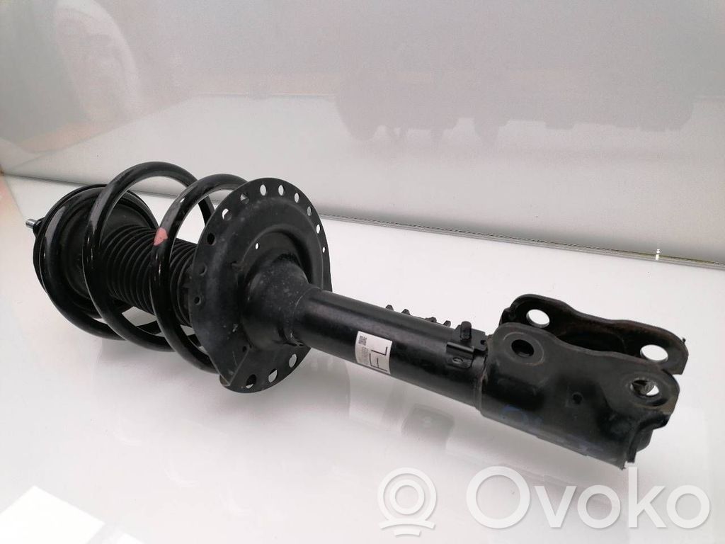Amortiguador delantero   4060A669
