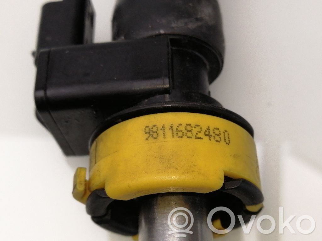 Sensor   9811682480
