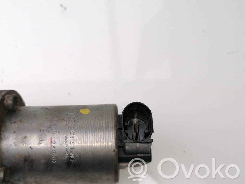 Zawór EGR   284102A350