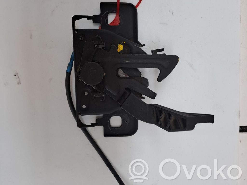 Tie down hook / loop   656012034R