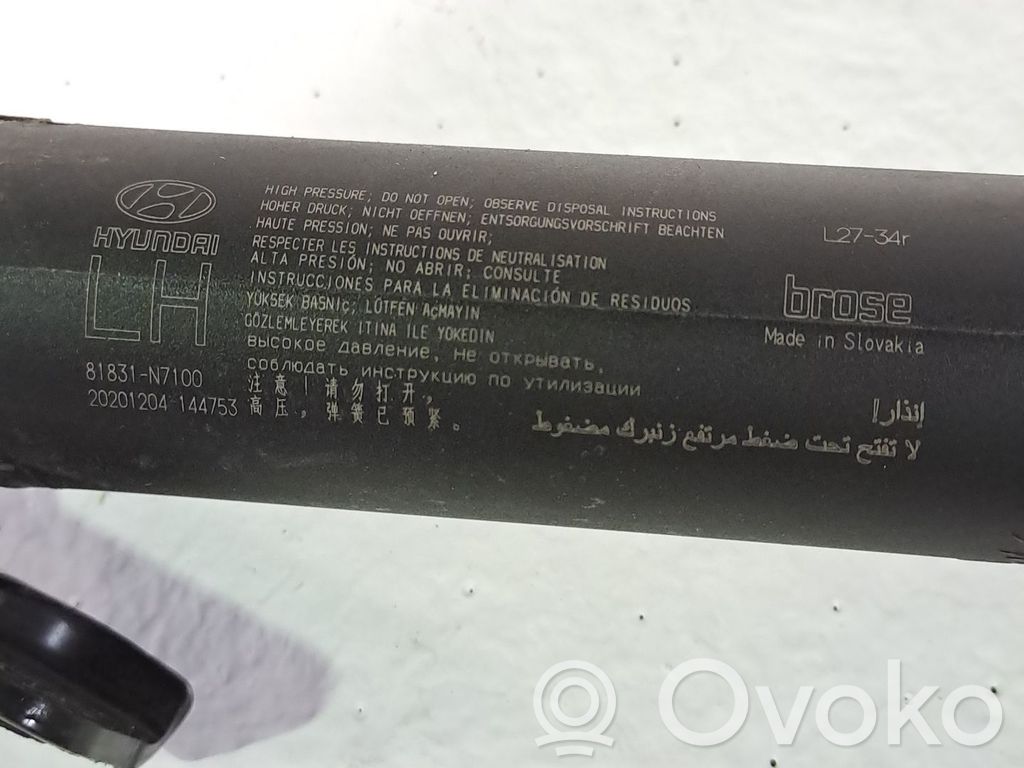 Stoßdämpfer hinten   81831N7100