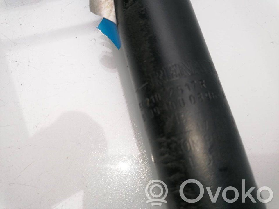 Stoßdämpfer hinten   562102517R
