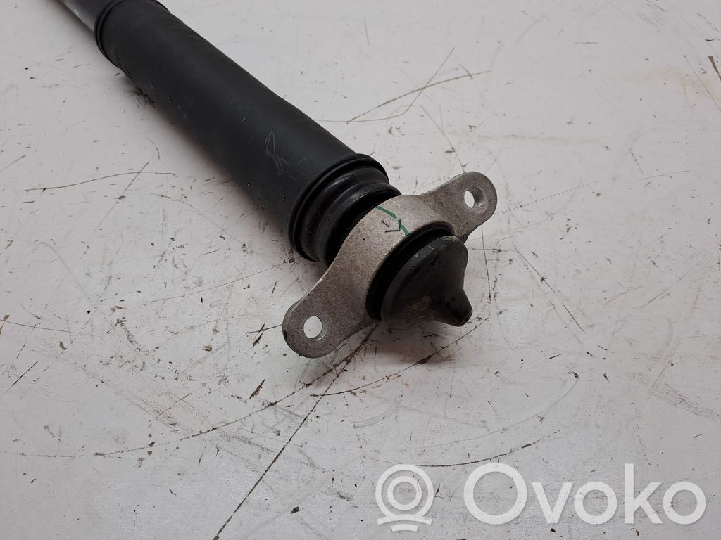 Stoßdämpfer hinten   55300Q0AA0,55307Q0AA0