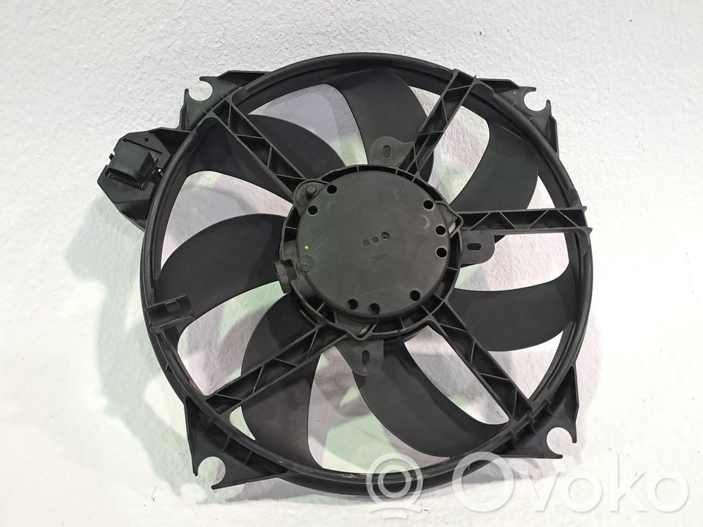 Ventilador de refrigeración   214810028R