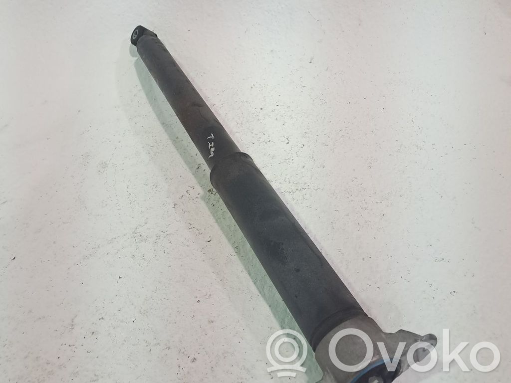 Amortizor spate   1880579,BV6118080LAB