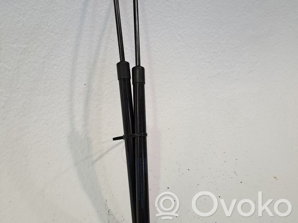 Amortizor capotă motor   654709991R