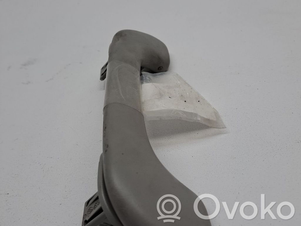 Renault Megane III Balustradă (capac superior) 