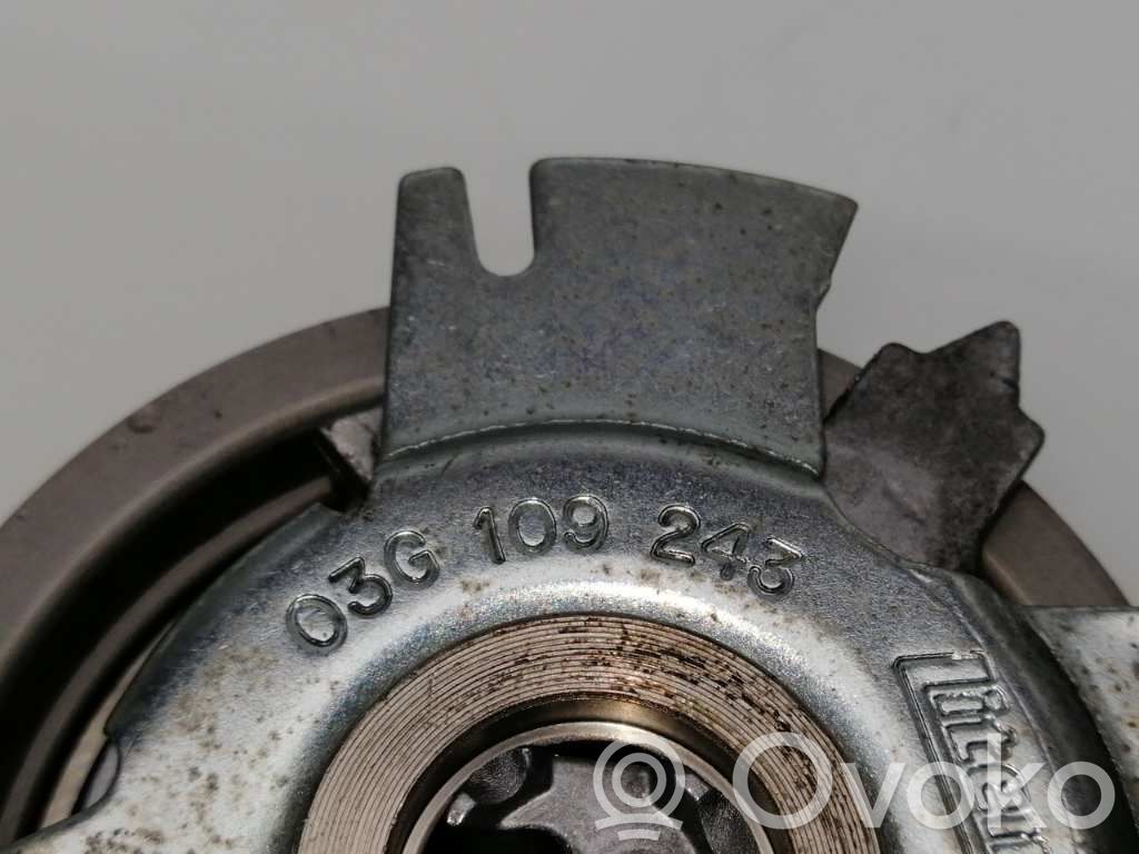 Volkswagen PASSAT B7 USA Întinzător curea generator/alternator