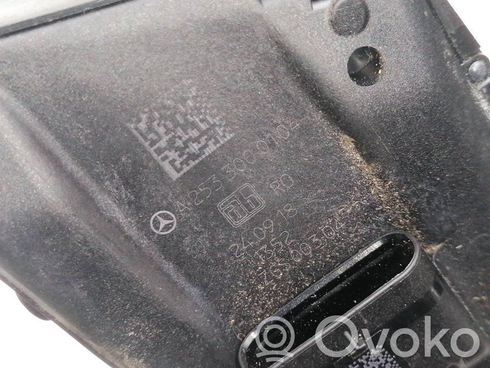 Gaspedal   A2533000104