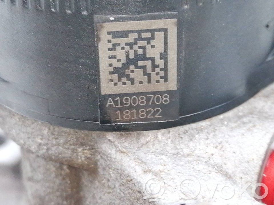 Takajarrusatula   43018TLAA01,11CLEP