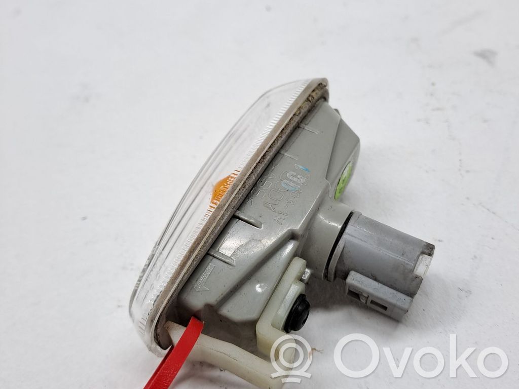 Seitenblinker   923031W000