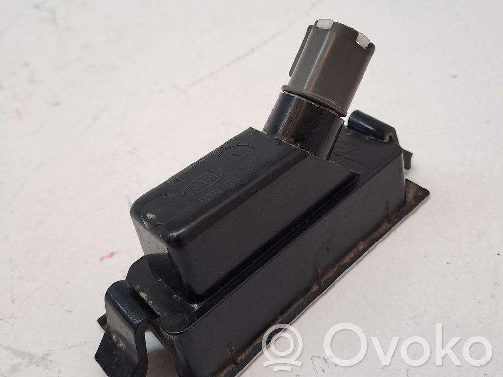 Number plate light   925011H500